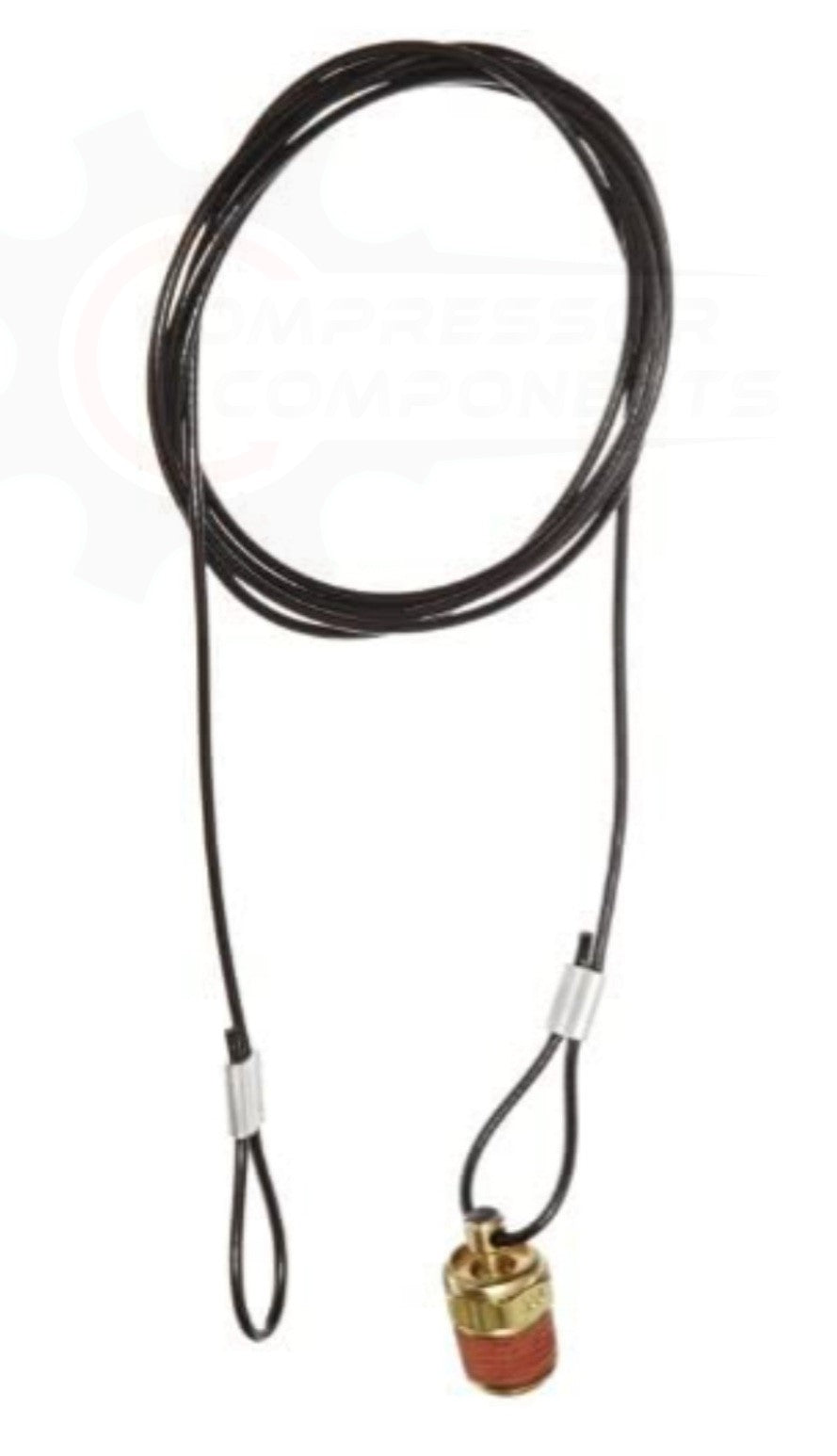 PULL CORD DRAIN VALVE 1/4" MNPT (60" CORD)