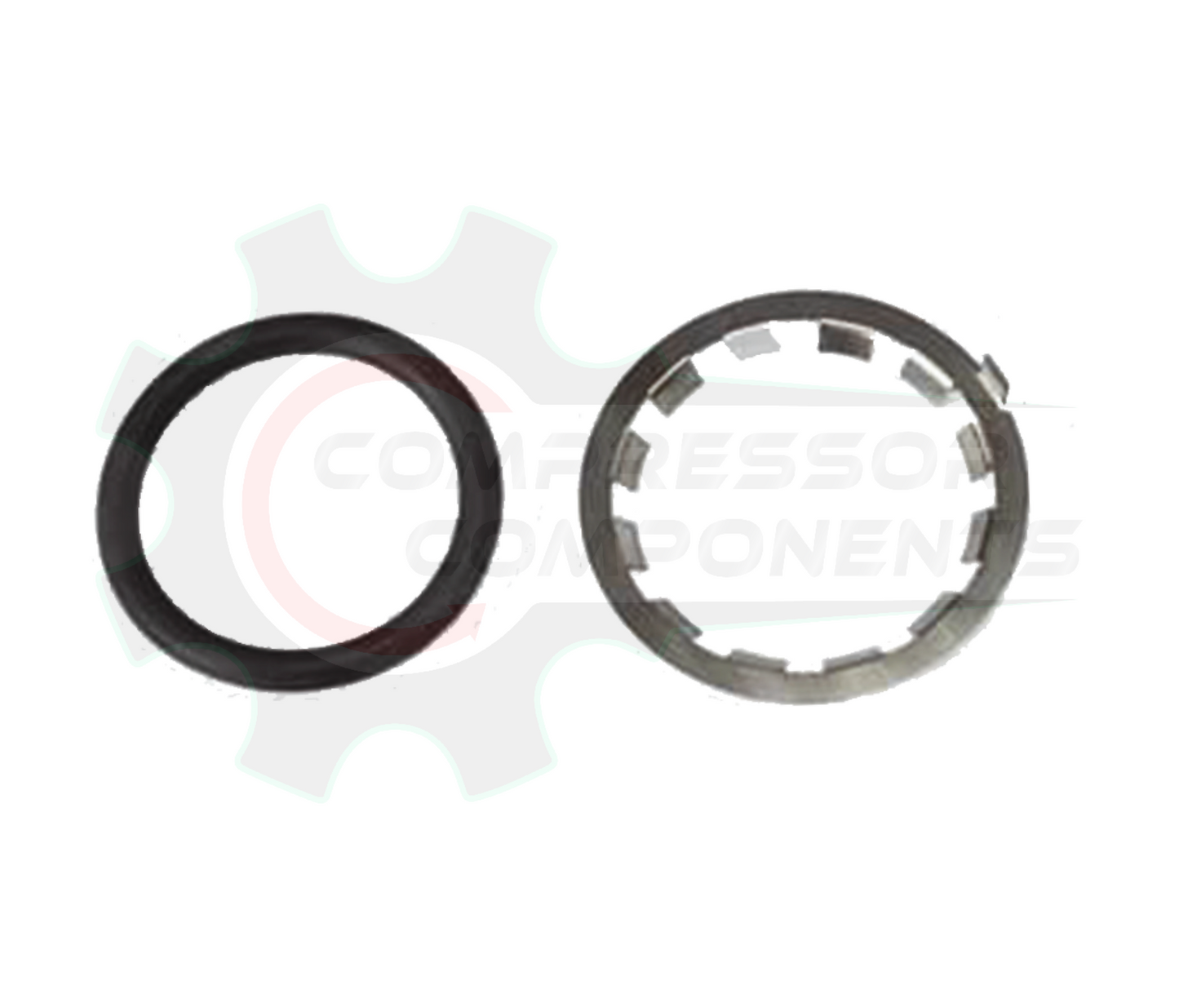 FastPipe F2076 - 1" O-RING