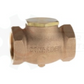 2" FNPT x 2" FNPT INLINE CHECK VALVE